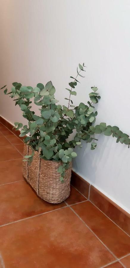 Hostal Sa Posada Set Cales Ciutadella  Buitenkant foto
